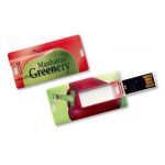 USB Flash drive TDC03