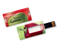 USB Flash drive TDC03