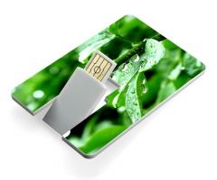 USB Flash drive TDC09