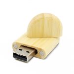 USB Flash drive TDW001