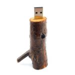 USB Flash drive TDW11