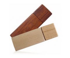 USB Flash drive TDW008