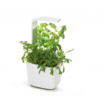 TREGREN Kitchen Garden, smart flowerpot