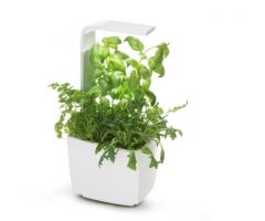 TREGREN Kitchen Garden, smart flowerpot