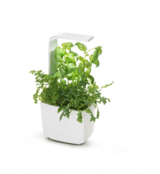 TREGREN Kitchen Garden, smart flowerpot