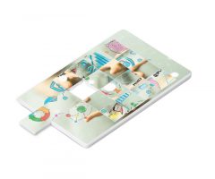 USB Flash disk TDC07