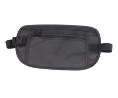 Travel kidney bag